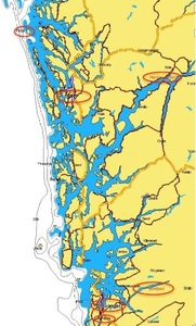 picture-5