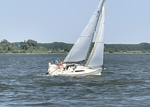 w-picolo-2023